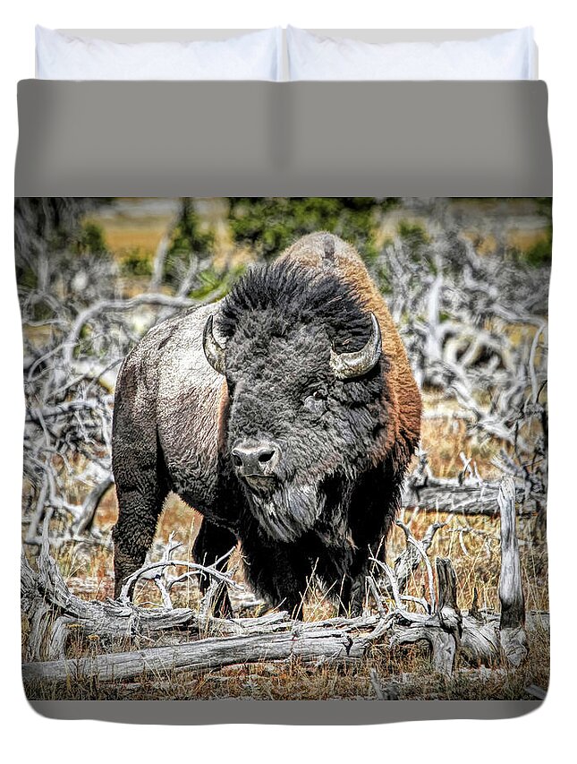 Buffalo Duvet Cover featuring the photograph Eye of the Buffalo by Donna Kennedy
