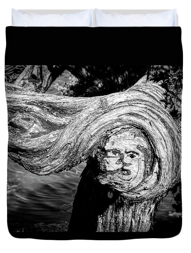 Photography Duvet Cover featuring the photograph Face Like Image On A Gnarled New by Panoramic Images