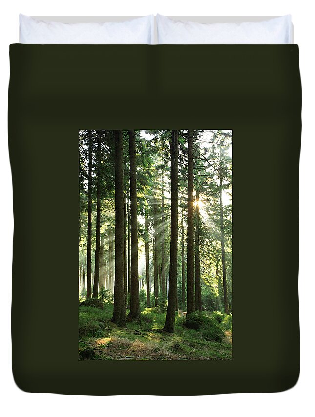 Fairy Tale Duvet Cover featuring the photograph Fairy Forest II by Avtg