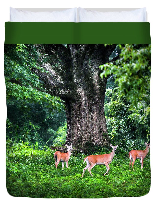 Deer Duvet Cover featuring the photograph Fairy Tale Forest by Karen Wiles