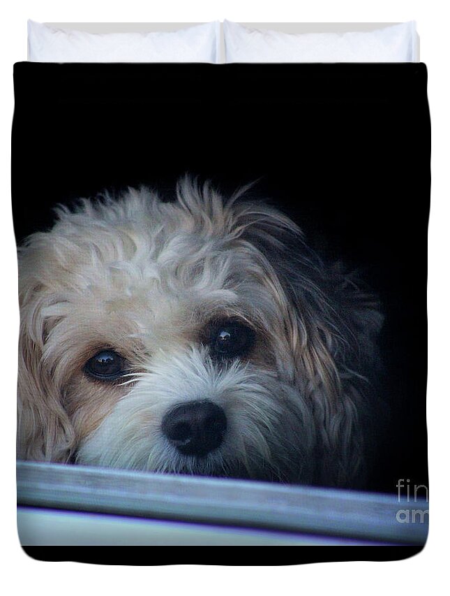 Puppy Duvet Cover featuring the photograph Faithfully Waiting by Karen Adams