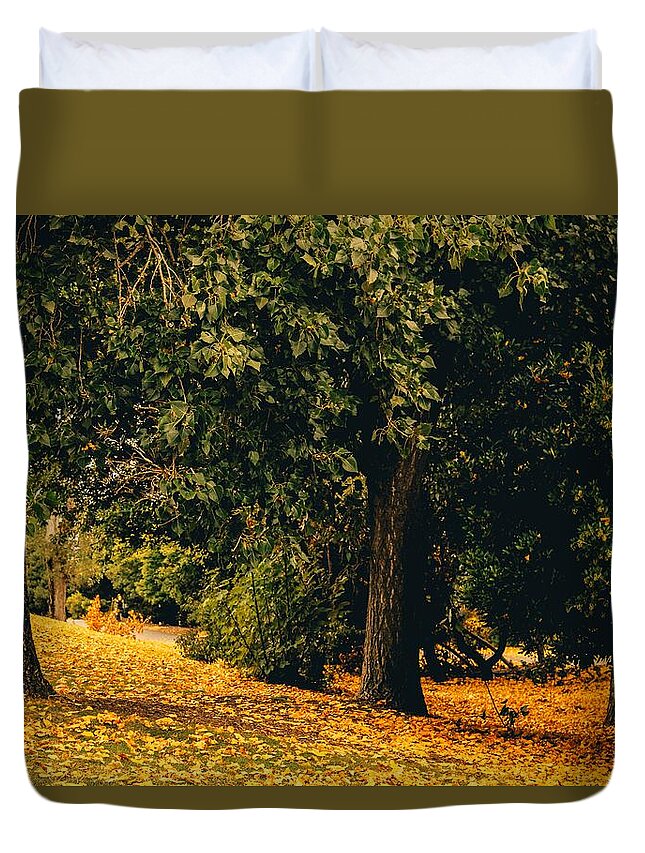 Fall Duvet Cover featuring the photograph Fall by Anamar Pictures