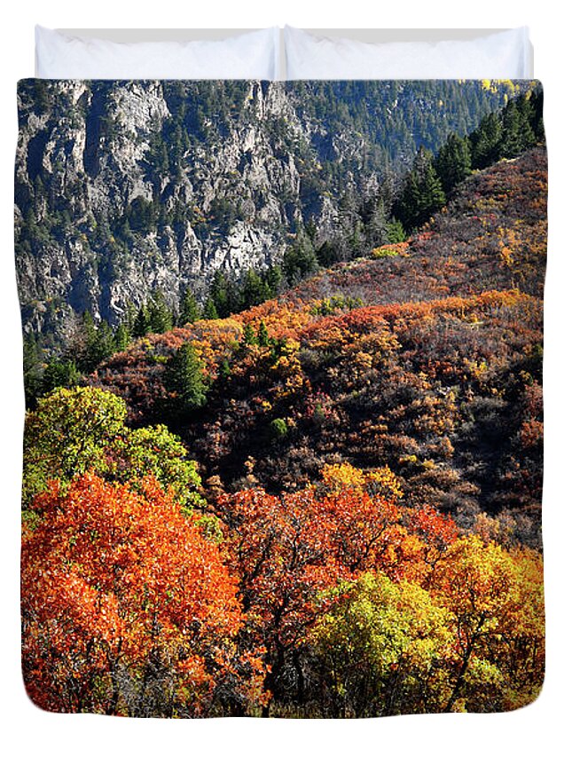 Colorado Duvet Cover featuring the photograph Fall Colored Oaks in Avalanche Creek Canyon by Ray Mathis