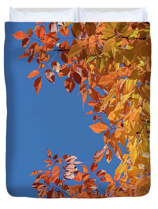 Fall Duvet Cover featuring the photograph Fall Colors by Steven Sparks