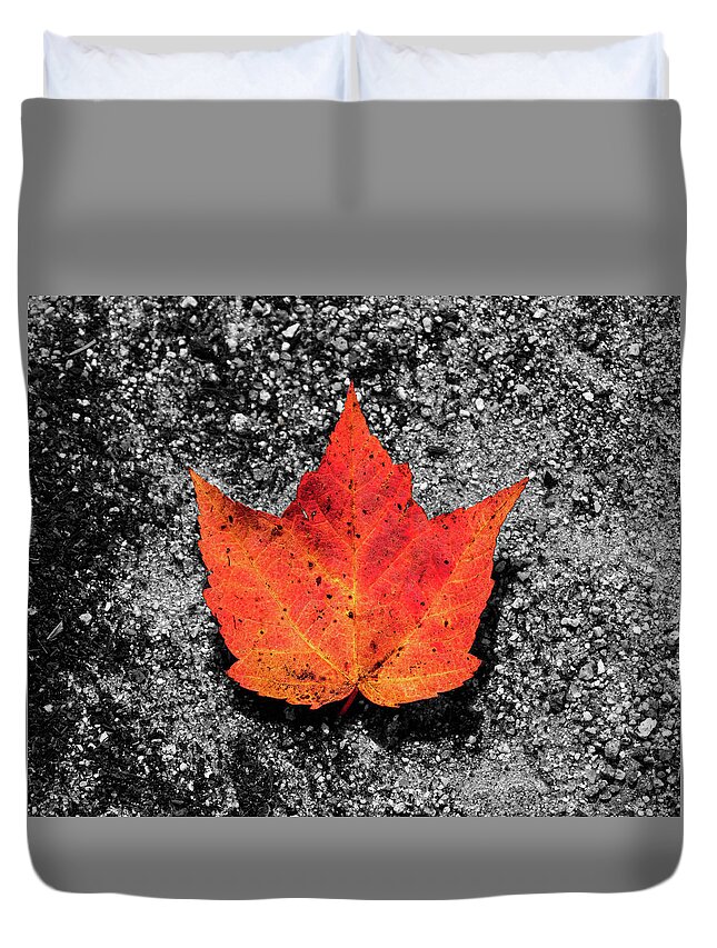 Foliage Duvet Cover featuring the photograph Fall Foliage Orange Red Maple Leaf in a Rivulet by William Dickman