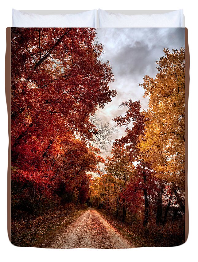 Tree Duvet Cover featuring the photograph Fall Lane by Bill Frische