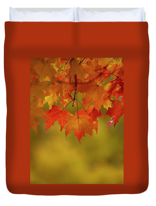 New England Duvet Cover featuring the photograph Fall Leaves by Rob Davies