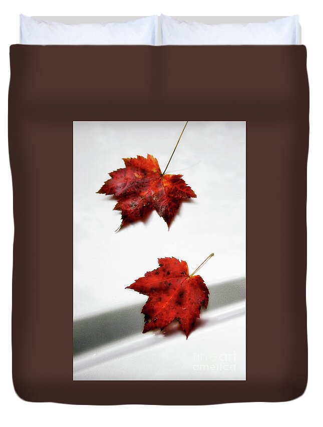 Maple Leaves Duvet Cover featuring the photograph Fallen Leaves by Joan Bertucci