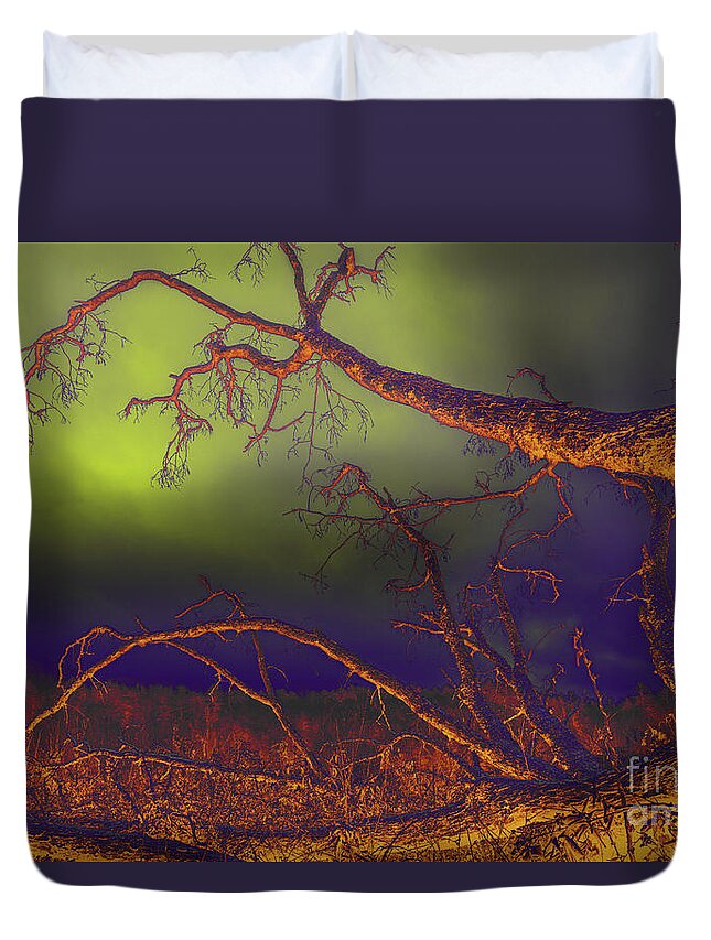 Tree Duvet Cover featuring the photograph Fallen Tree by Mike Eingle