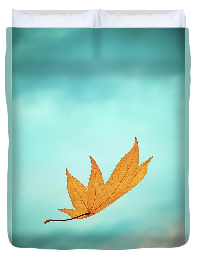 Curve Duvet Cover featuring the photograph Falling Yellow Autumn Leaf by Borchee