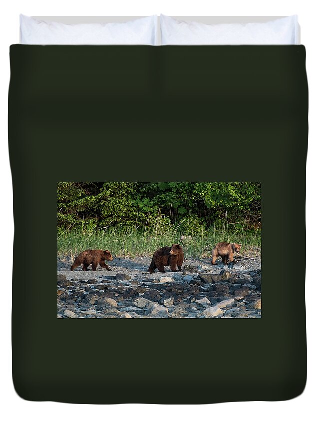 Brown Bears Duvet Cover featuring the photograph Family by David Kirby
