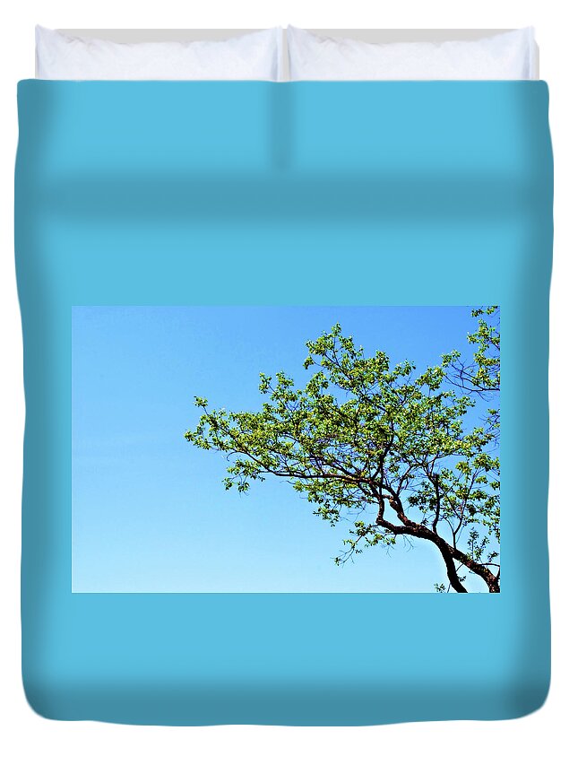 Tree Duvet Cover featuring the photograph Far Reaching by Michelle Wermuth