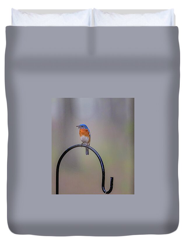 Bird Duvet Cover featuring the photograph Feeding Time by Norman Peay