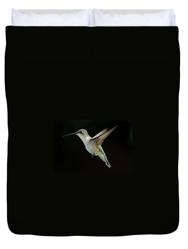 Animal Themes Duvet Cover featuring the photograph Female Hummingbird by Dansphotoart On Flickr