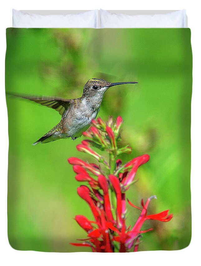 Nature Duvet Cover featuring the photograph Female Ruby-throated Hummingbird DSB0316 by Gerry Gantt