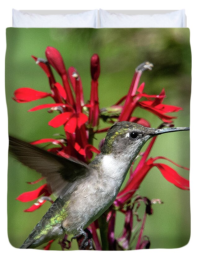 Nature Duvet Cover featuring the photograph Female Ruby-throated Hummingbird DSB0325 by Gerry Gantt