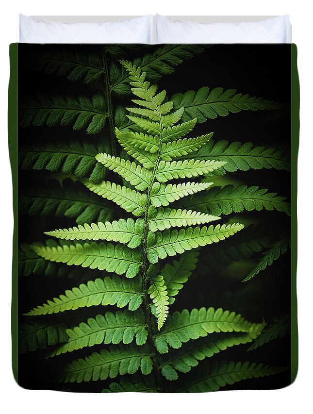 Fern Duvet Cover featuring the photograph Ferns # 23 by Philippe Sainte-Laudy