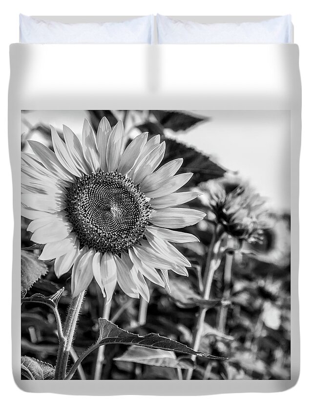 Flower Duvet Cover featuring the photograph Field of Flowers by Ray Silva