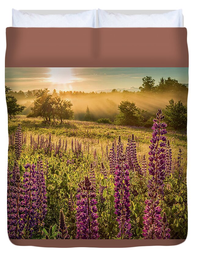 Amazing New England Artworks Duvet Cover featuring the photograph Fields Of Lupine by Jeff Sinon