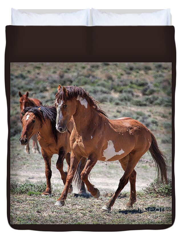 Horses; Stallions Duvet Cover featuring the photograph Fire Starter by Jim Garrison