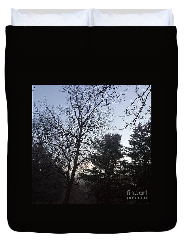 Nature Duvet Cover featuring the photograph First Light and Fog by Frank J Casella