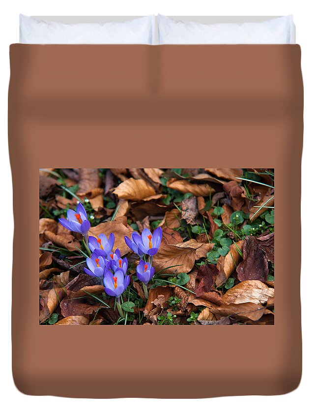 Jenny Rainbow Fine Art Photography Duvet Cover featuring the photograph First Signs of Spring by Jenny Rainbow