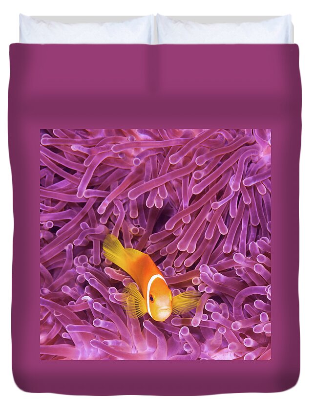 Underwater Duvet Cover featuring the photograph Fish by Extreme-photographer