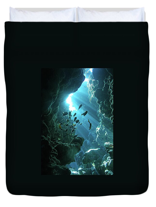 Underwater Duvet Cover featuring the photograph Fish Shelter In Underwater Cave, Egypt by Joost Van Uffelen