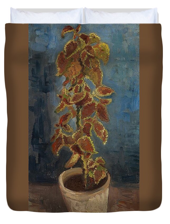 Oil On Canvas Duvet Cover featuring the painting Flame Nettle in a Flowerpot. by Vincent van Gogh -1853-1890-
