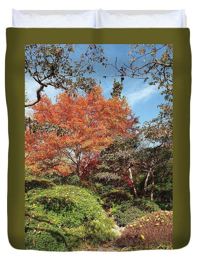 Jenny Rainbow Fine Art Photography Duvet Cover featuring the photograph Flaming Fall Acer Tree of Japanese Garden by Jenny Rainbow