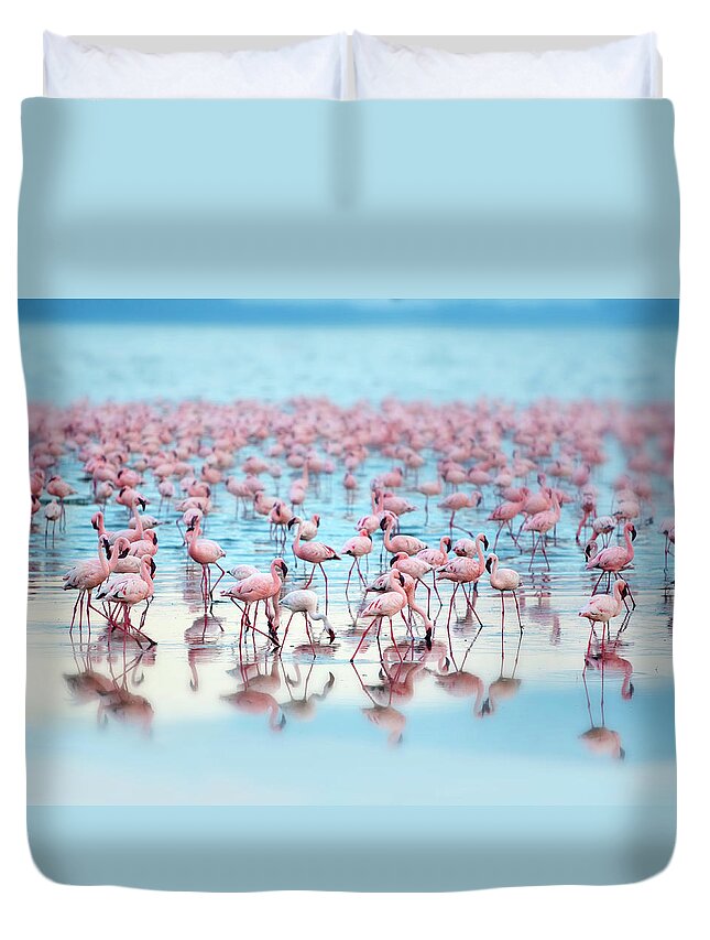 Kenya Duvet Cover featuring the photograph Flamingoes by Grant Faint