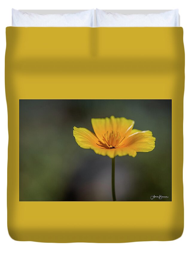 Mexican Gold Poppy Duvet Cover featuring the photograph Flat Poppy by Aaron Burrows