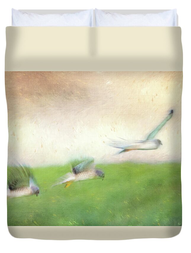 Bay Of Fundy Duvet Cover featuring the photograph Flight of the Harrier by Tracy Munson