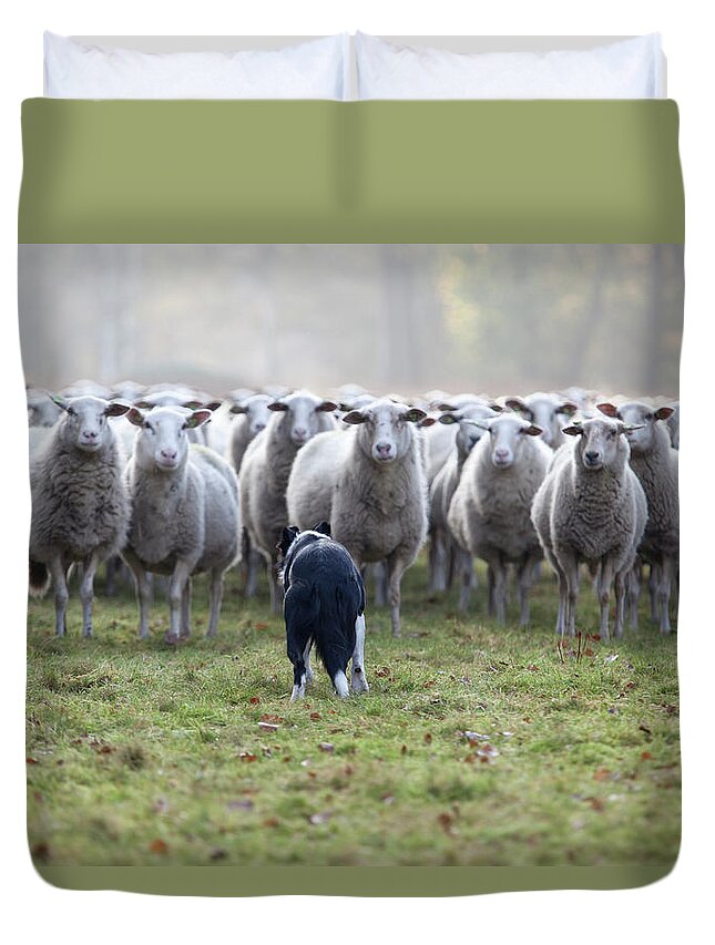 Pets Duvet Cover featuring the photograph Flock Of Sheep And Dog by Marcusrudolph.nl