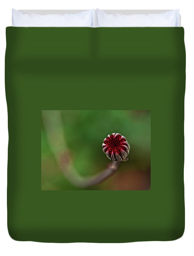 Outdoors Duvet Cover featuring the photograph Flower by Carhove Photography