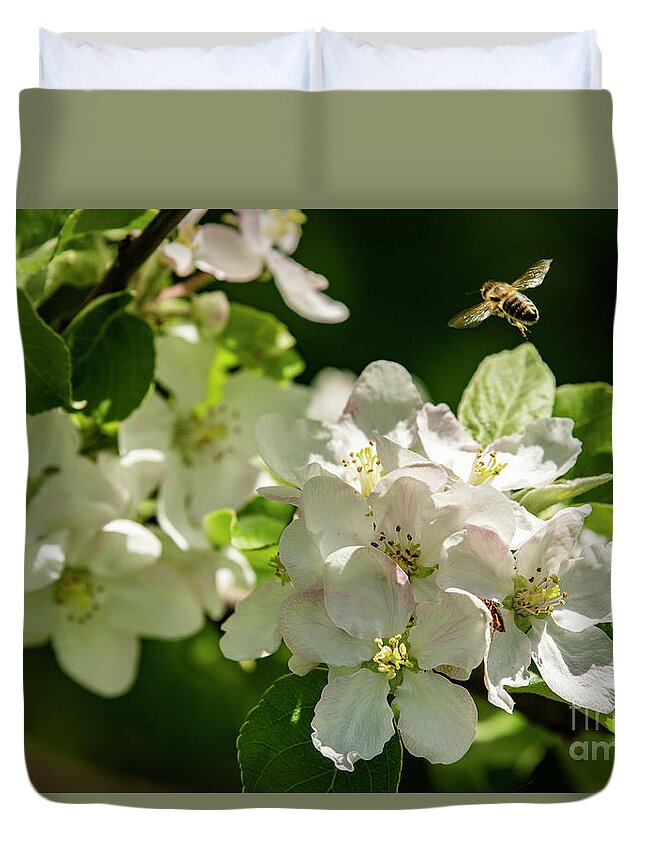 Bee Duvet Cover featuring the photograph Flower Hopping by JT Lewis