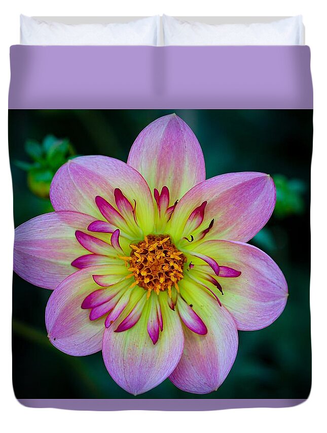 Flower Duvet Cover featuring the photograph Flower 3 by Anamar Pictures