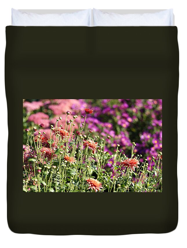 Flowerbed Duvet Cover featuring the photograph Flowerbed With Michaelmas Daisies by Schnuddel