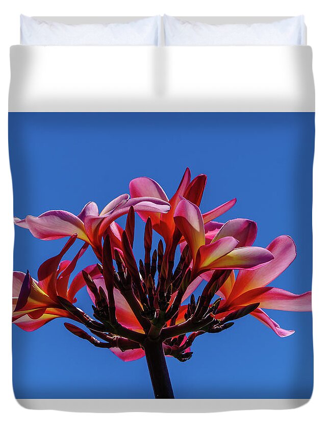Hawaii Duvet Cover featuring the photograph Flowers in Clear Blue Sky by John Bauer
