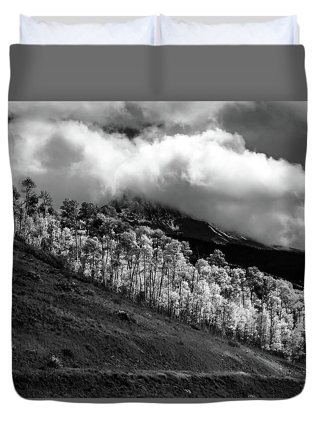 Mount Wilson Peak Duvet Cover featuring the photograph Fluorescent Autumn Aspens by Norma Brandsberg