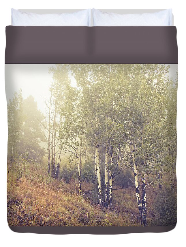 Autumn Duvet Cover featuring the photograph Foggy Colorado Aspen by Catherine Avilez
