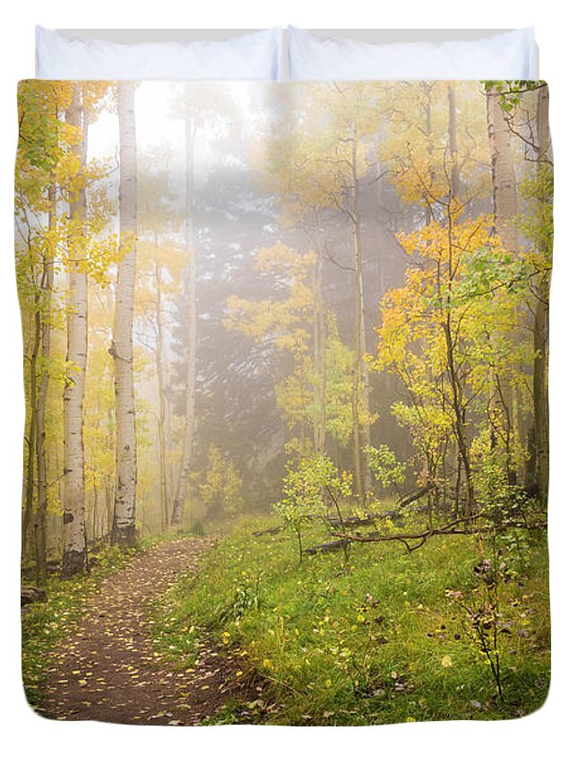 Aspen Duvet Cover featuring the photograph Foggy Winsor Trail Aspens In Autumn 2 - Santa Fe National Forest New Mexico by Brian Harig