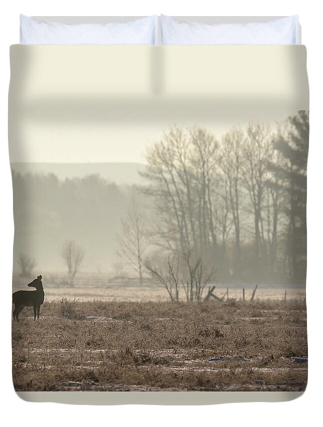 Deer Duvet Cover featuring the photograph Foggy Winter Morning by Brook Burling