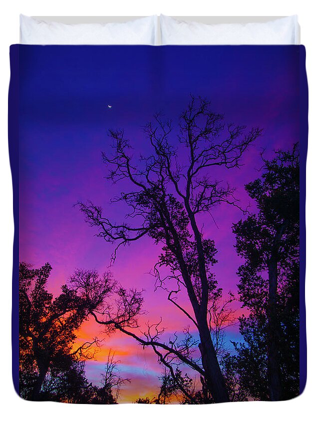 Images And Videos Byj Ohn Bauer Johnbdigtial.com Duvet Cover featuring the photograph Forest Colors by John Bauer