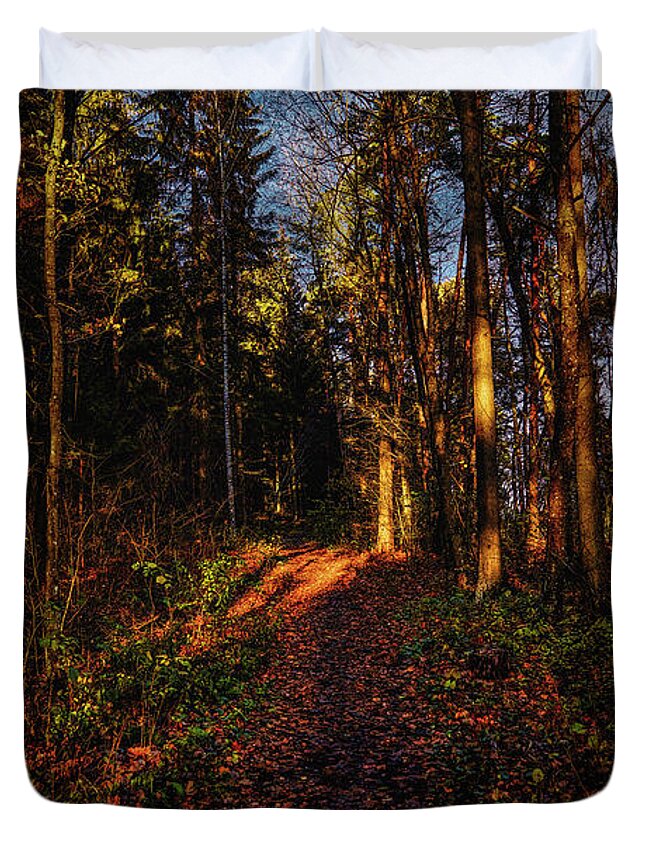 Forest Light Duvet Cover featuring the photograph Forest light #i1 by Leif Sohlman