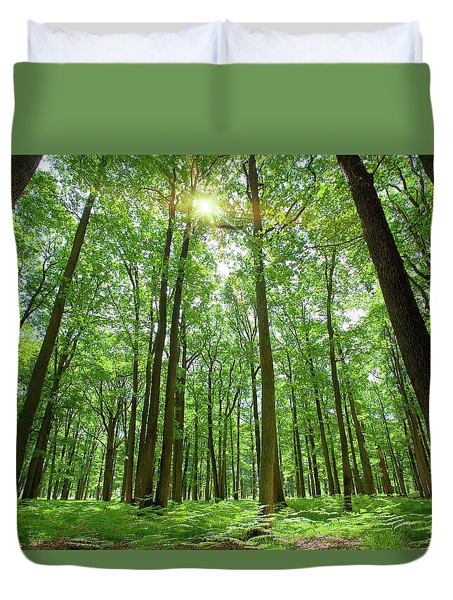 Scenics Duvet Cover featuring the photograph Forest With Sun Behind by Sylvain Sonnet