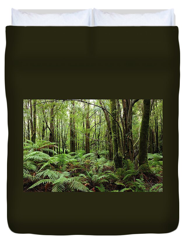 Mineral Duvet Cover featuring the photograph Franklin-gordon Wild Rivers National by Keiichihiki