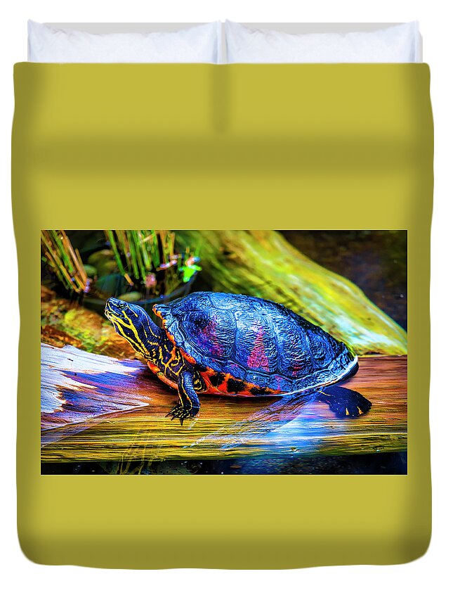 Freshwater Duvet Cover featuring the photograph Freshwater Aquatic Turtle by Garry Gay