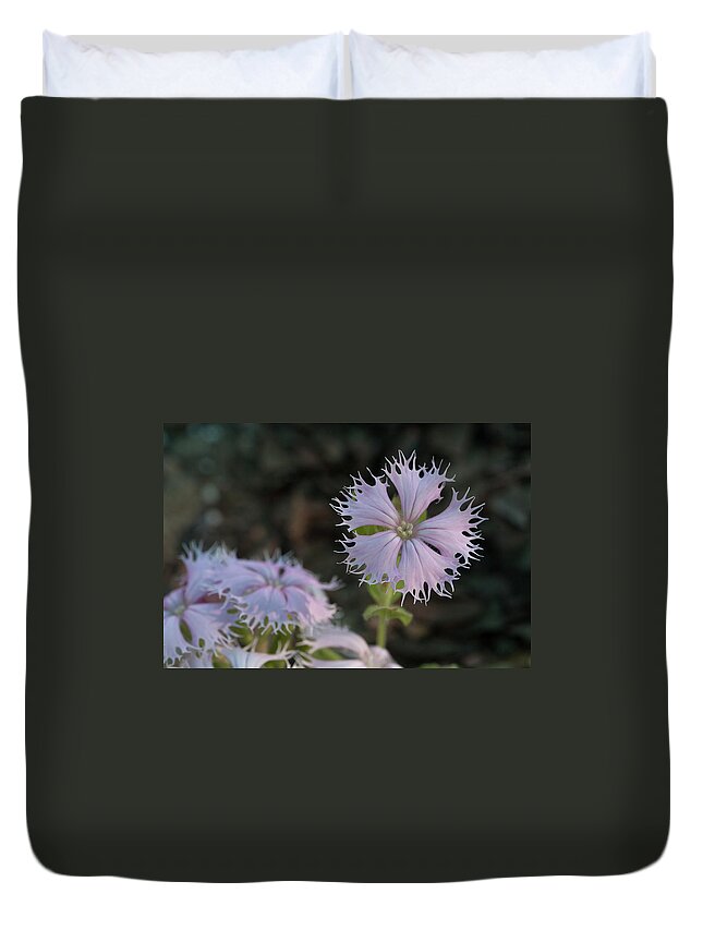 Fringed Catchfly Duvet Cover featuring the photograph Fringed Catchfly by Paul Rebmann