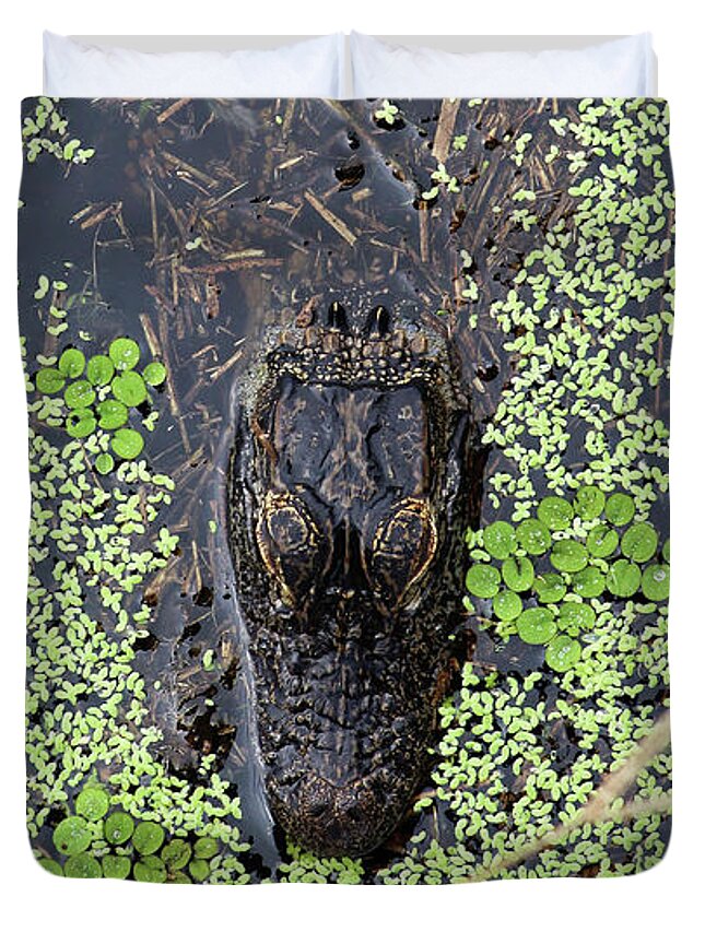 Alligator Duvet Cover featuring the photograph From the Sticks by Michael Allard